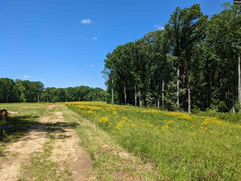 0 Minger Road Blythewood SC 29016