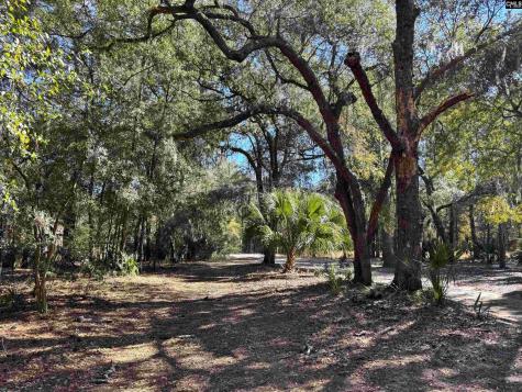 8384 Palmetto Road Edisto Island SC 29438