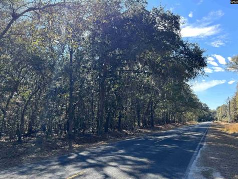 8384 Palmetto Road Edisto Island SC 29438