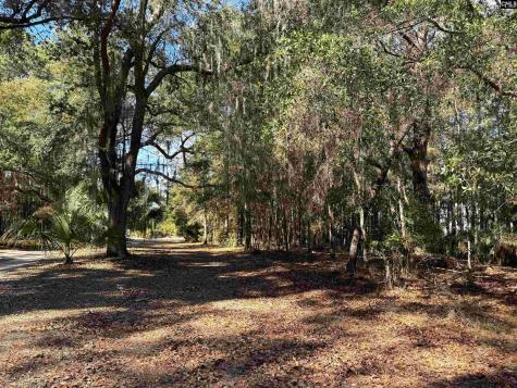 8384 Palmetto Road Edisto Island SC 29438