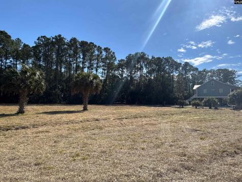 8384 Palmetto Road Edisto Island SC 29438