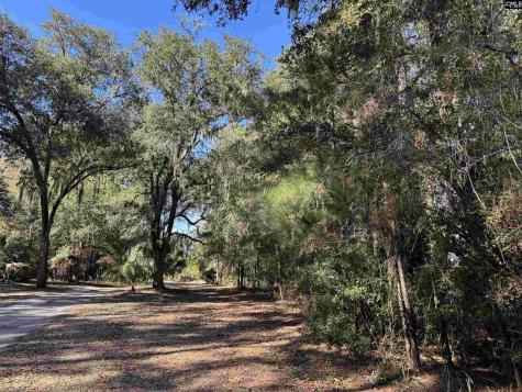 8384 Palmetto Road Edisto Island SC 29438