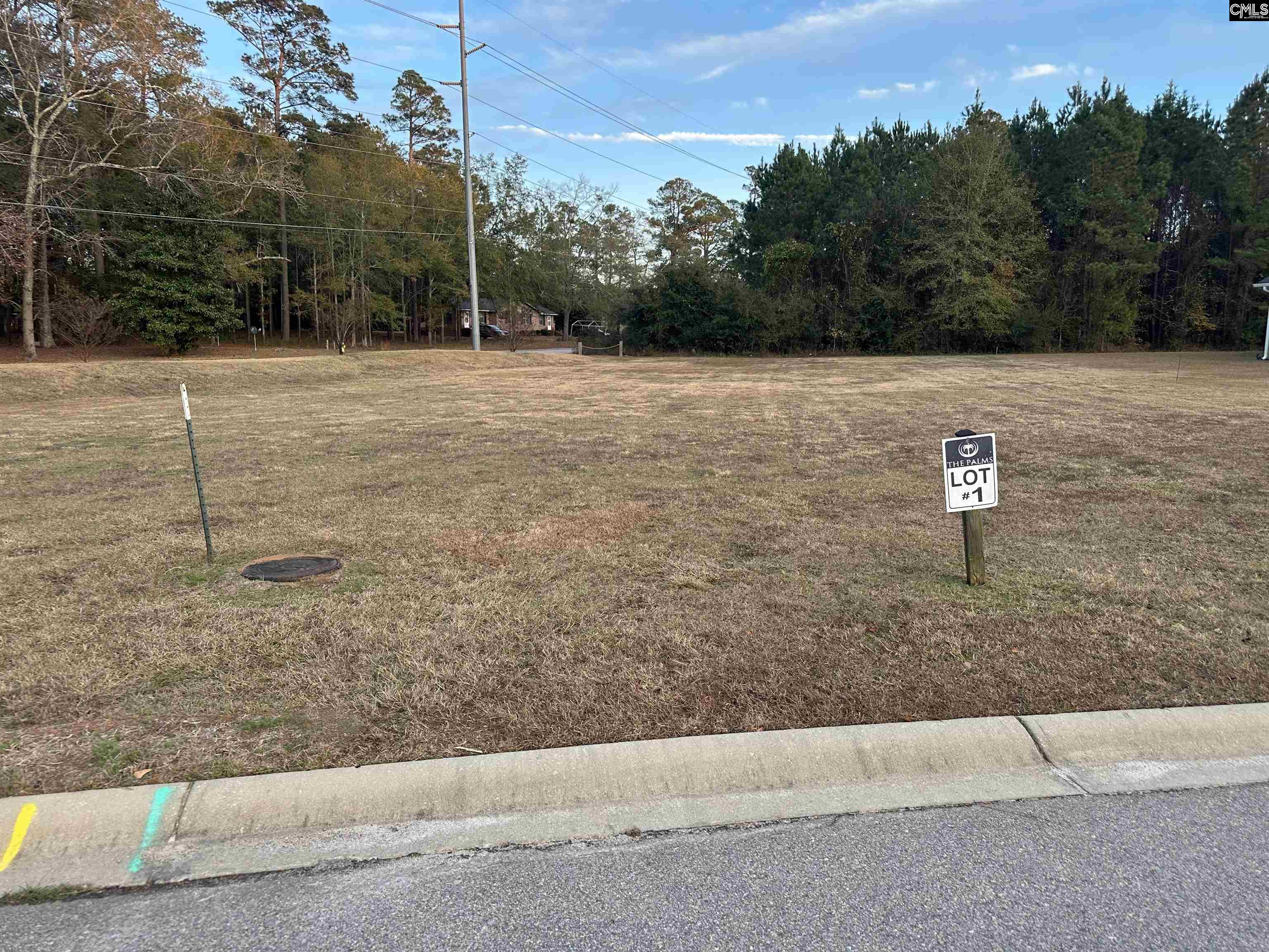 111 Sago Palm Drive Orangeburg SC 29118