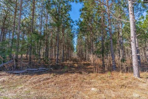 Lot #7 Fairview Road 008200-07-010 Batesburg SC 29006