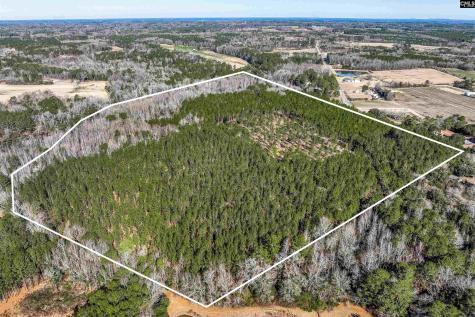 Lot #7 Fairview Road 008200-07-010 Batesburg SC 29006