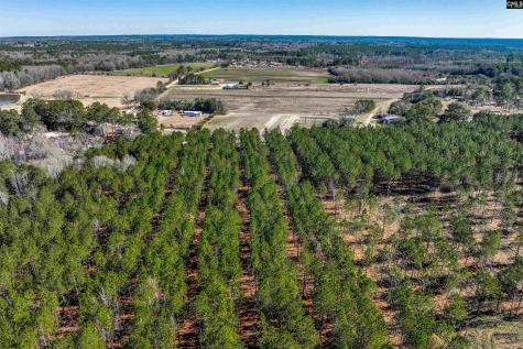 Lot #7 Fairview Road 008200-07-010 Batesburg SC 29006