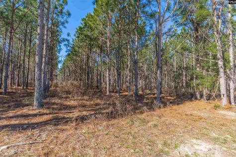 Lot #7 Fairview Road 008200-07-010 Batesburg SC 29006