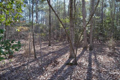 4051 Hard Scrabble Road Columbia SC 29223
