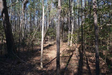 4051 Hard Scrabble Road Columbia SC 29223