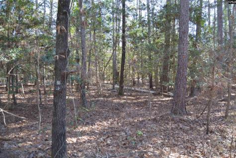 4051 Hard Scrabble Road Columbia SC 29223