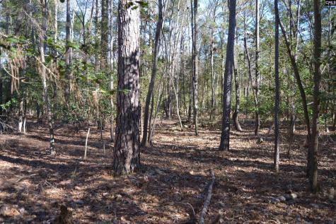 4051 Hard Scrabble Road Columbia SC 29223