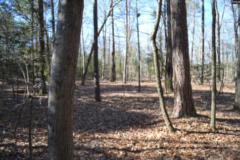 4051 Hard Scrabble Road Columbia SC 29223