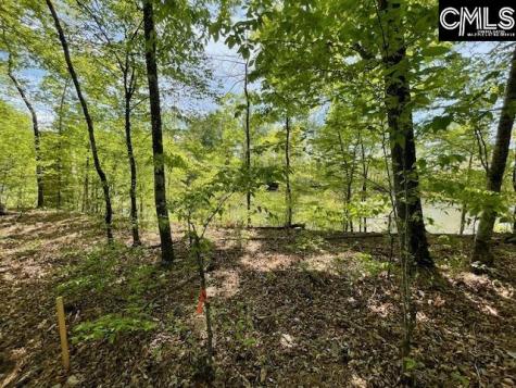 Lot 1 Highway 121 Silverstreet SC 29145