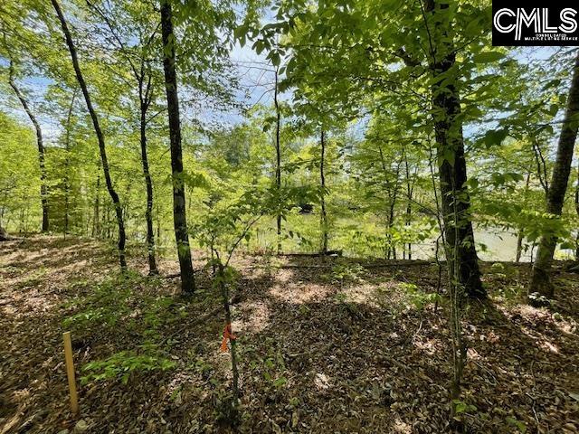 Lot 1 Highway 121 Silverstreet SC 29145