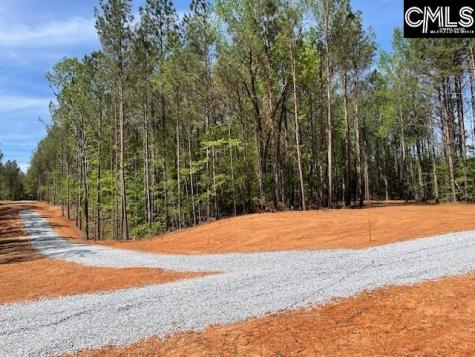 Lot 1 Highway 121 Silverstreet SC 29145