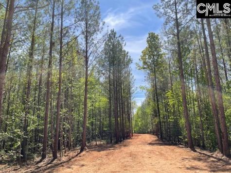 Lot 1 Highway 121 Silverstreet SC 29145