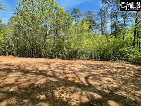 Lot 1 Highway 121 Silverstreet SC 29145