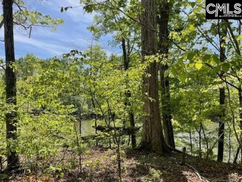 Lot 1 Highway 121 Silverstreet SC 29145