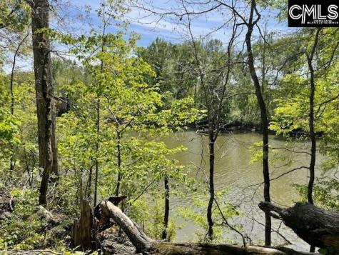 Lot 1 Highway 121 Silverstreet SC 29145