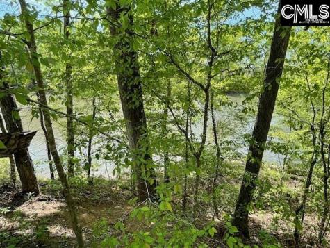 Lot 1 Highway 121 Silverstreet SC 29145