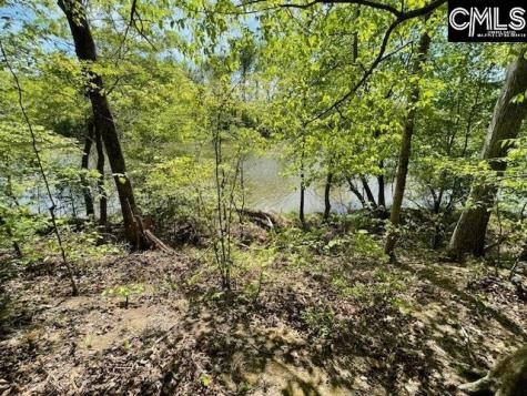 Lot 1 Highway 121 Silverstreet SC 29145
