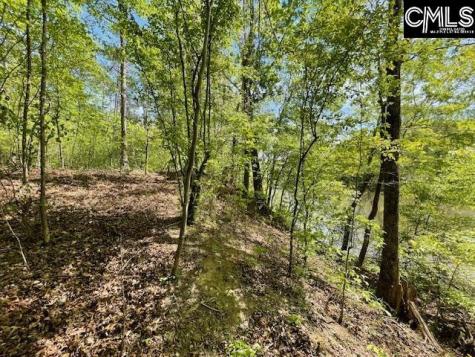 Lot 1 Highway 121 Silverstreet SC 29145
