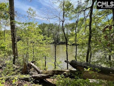 Lot 1 Highway 121 Silverstreet SC 29145