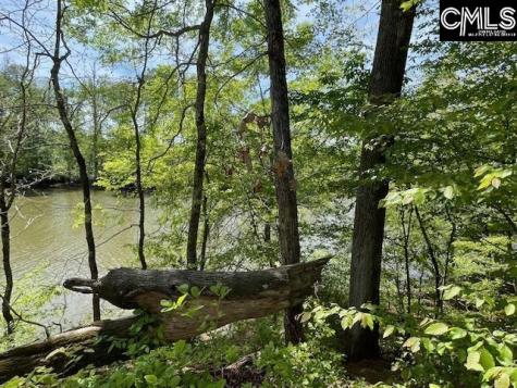 Lot 1 Highway 121 Silverstreet SC 29145