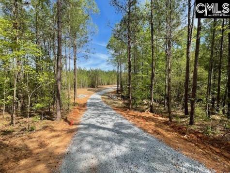Lot 1 Highway 121 Silverstreet SC 29145