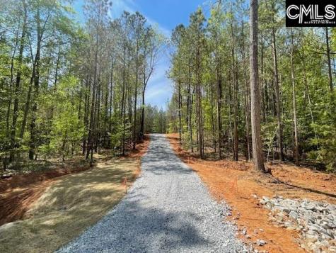 Lot 1 Highway 121 Silverstreet SC 29145