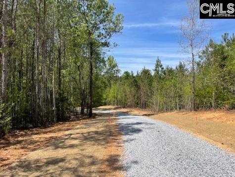 Lot 1 Highway 121 Silverstreet SC 29145