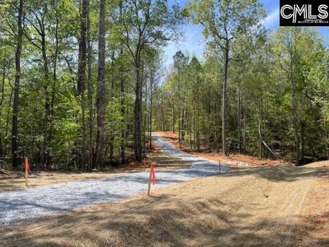 Lot 1 Highway 121 Silverstreet SC 29145