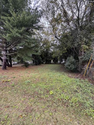 338 Ben Street Sumter SC 29150