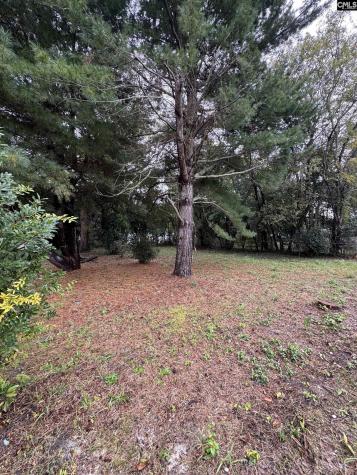 338 Ben Street Sumter SC 29150