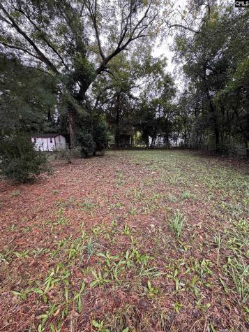 338 Ben Street Sumter SC 29150