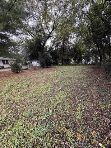 338 Ben Street Sumter SC 29150