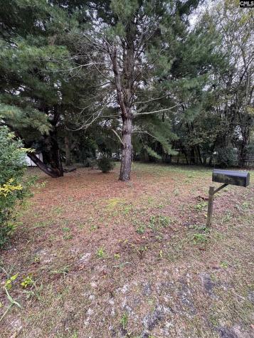 338 Ben Street Sumter SC 29150