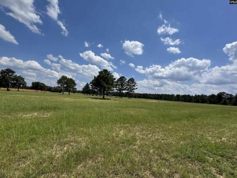1465 6 Highway Gaston SC 29053