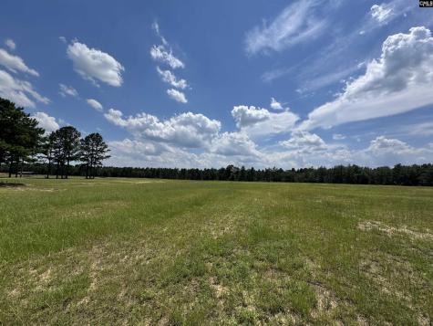 1465 6 Highway Gaston SC 29053