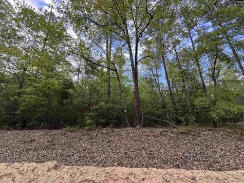 1465 6 Highway Gaston SC 29053