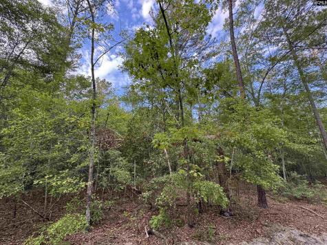 1465 6 Highway Gaston SC 29053