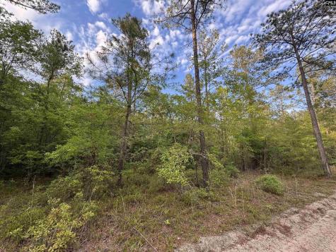 1465 6 Highway Gaston SC 29053
