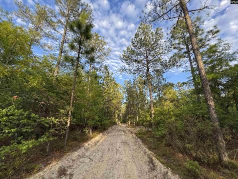 1465 6 Highway Gaston SC 29053