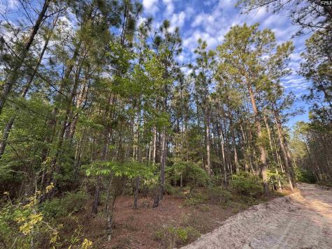 1465 6 Highway Gaston SC 29053