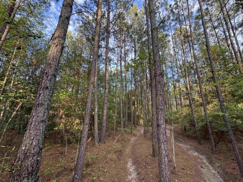 1465 6 Highway Gaston SC 29053