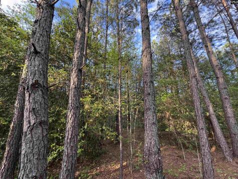 1465 6 Highway Gaston SC 29053