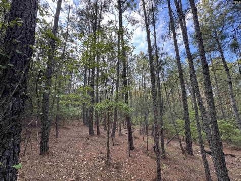 1465 6 Highway Gaston SC 29053