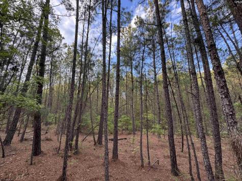 1465 6 Highway Gaston SC 29053