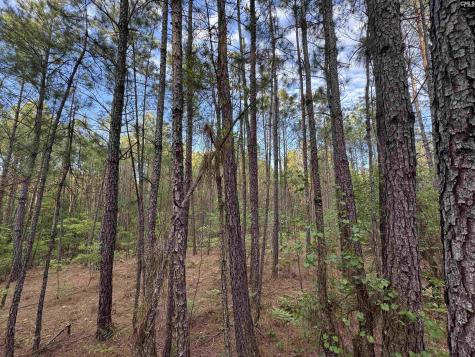1465 6 Highway Gaston SC 29053
