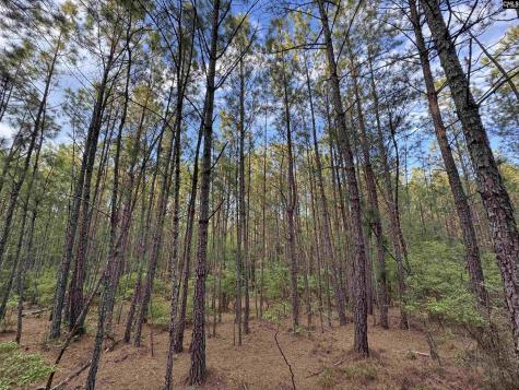 1465 6 Highway Gaston SC 29053